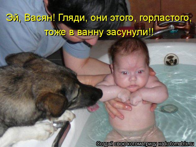 Эй, Васян! Гляди, они этого, горластого, тоже в ванну засунули!!... Котоматрица: Эй, Васян! Гляди, они этого, горластого, тоже в ванну засунули!!