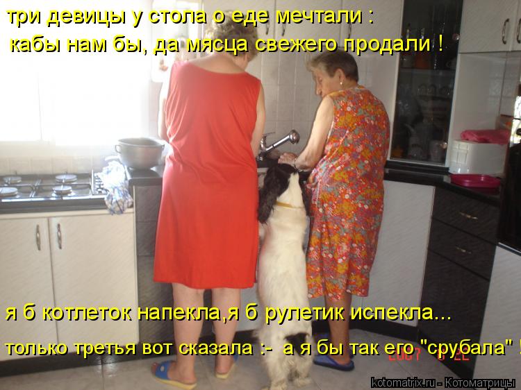 три девицы у стола о еде мечтали : кабы нам бы, да мясца свежего продали ! я б котлеток напекла,я б р... Котоматрица: три девицы у стола о еде мечтали : кабы нам бы, да мясца свежего продали ! я б котлеток напекла,я б рулетик испекла... только третья вот сказала