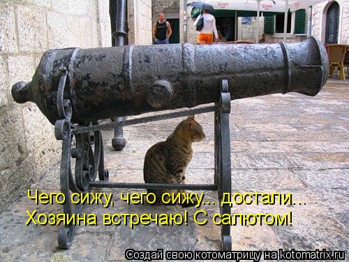 Чего сижу, чего сижу... достали... Хозяина встречаю! С салютом!... Котоматрица: Чего сижу, чего сижу... достали... Хозяина встречаю! С салютом!
