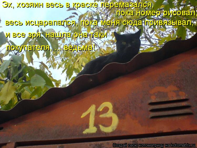 Эх, хозяин весь в краске перемазался, пока номер рисовал, весь исцарапался, пока меня сюда привязывал... Котоматрица: Эх, хозяин весь в краске перемазался, пока номер рисовал, весь исцарапался, пока меня сюда привязывал, и все зря: нашла она таки покупателя, .