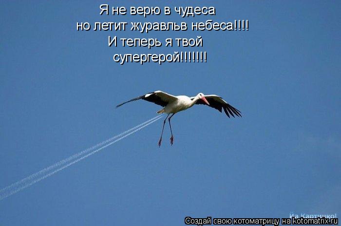 Я не верю в чудеса но летит журавльв небеса!!!! И теперь я твой супергерой!!!!!!!... Котоматрица: Я не верю в чудеса но летит журавльв небеса!!!! И теперь я твой супергерой!!!!!!!