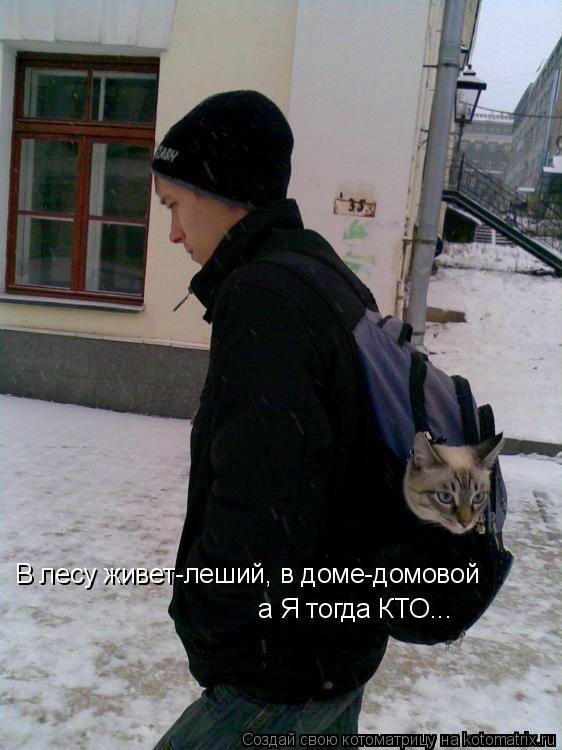 В лесу живет-леший, в доме-домовой а Я тогда КТО...... Котоматрица: В лесу живет-леший, в доме-домовой а Я тогда КТО...