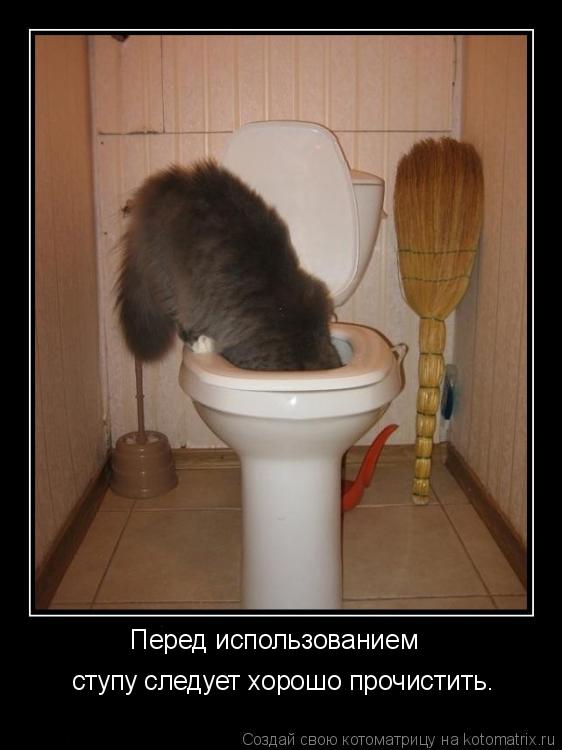 Перед использованием ступу следует хорошо прочистить.... Котоматрица: Перед использованием ступу следует хорошо прочистить.