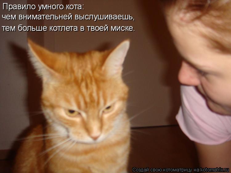 Правило умного кота: чем внимательней выслушиваешь, тем больше котлета в твоей миске.... Котоматрица: Правило умного кота: чем внимательней выслушиваешь, тем больше котлета в твоей миске.