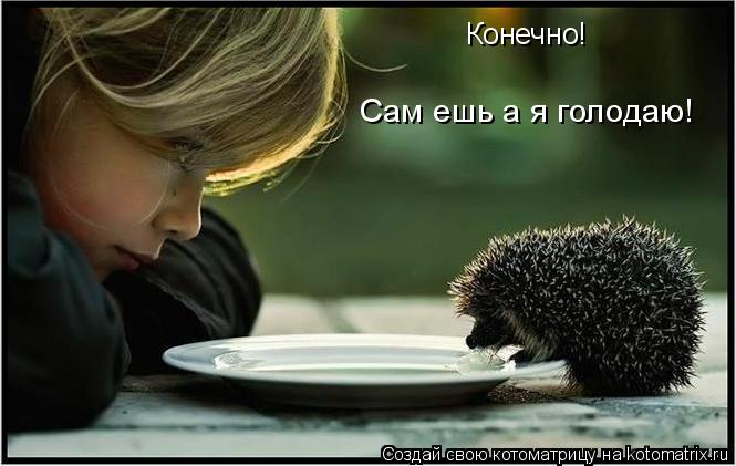 Конечно! Сам ешь а я голодаю!... Котоматрица: Конечно! Сам ешь а я голодаю!