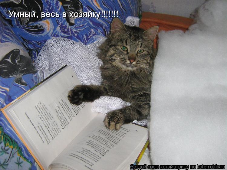 Котоматрица: Умный, весь в хозяйку!!!!!!!
