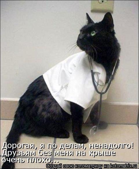 Котоматрица: Дорогая, я по делам, ненадолго!  Друзьям без меня на крыше очень плохо...