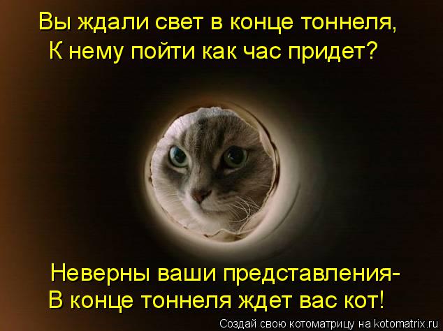 Котоматрица: Вы ждали свет в конце тоннеля, К нему пойти как час придет? Неверны ваши представления- В конце тоннеля ждет вас кот!