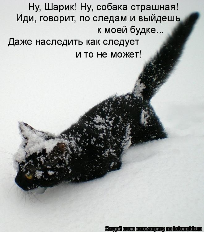 Котоматрица: Ну, Шарик! Ну, собака страшная!  Иди, говорит, по следам и выйдешь  к моей будке... Даже наследить как следует  и то не может!