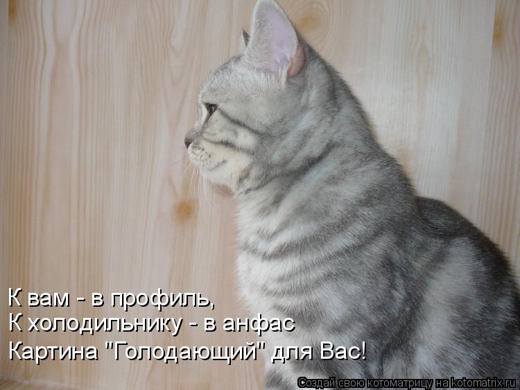 Котоматрица: К вам - в профиль, К холодильнику - в анфас Картина "Голодающий" для Вас!
