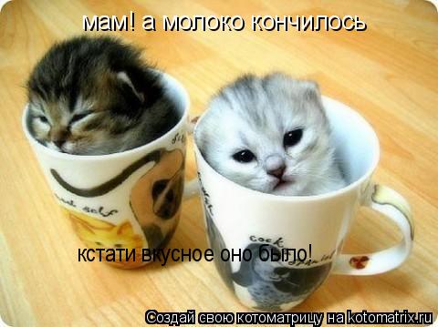 мам! а молоко кончилось кстати вкусное оно было!... Котоматрица: мам! а молоко кончилось кстати вкусное оно было!