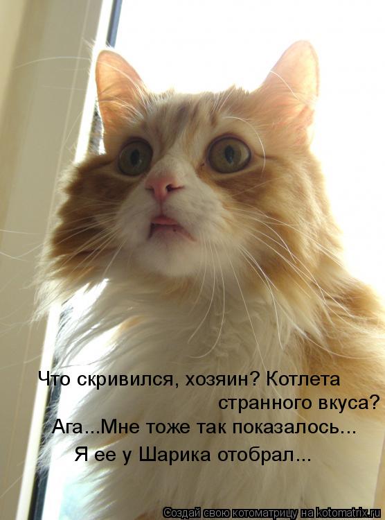 Котоматрица: Что скривился, хозяин? Котлета  странного вкуса?  Ага...Мне тоже так показалось... Я ее у Шарика отобрал...