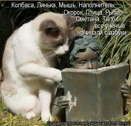 Котоматрица: - ... Колбаса, Линька, Мышь, Наполнитель, Окорок, Птица, Рыба, Сметана, Тапок... все учёные начинали с азбуки.