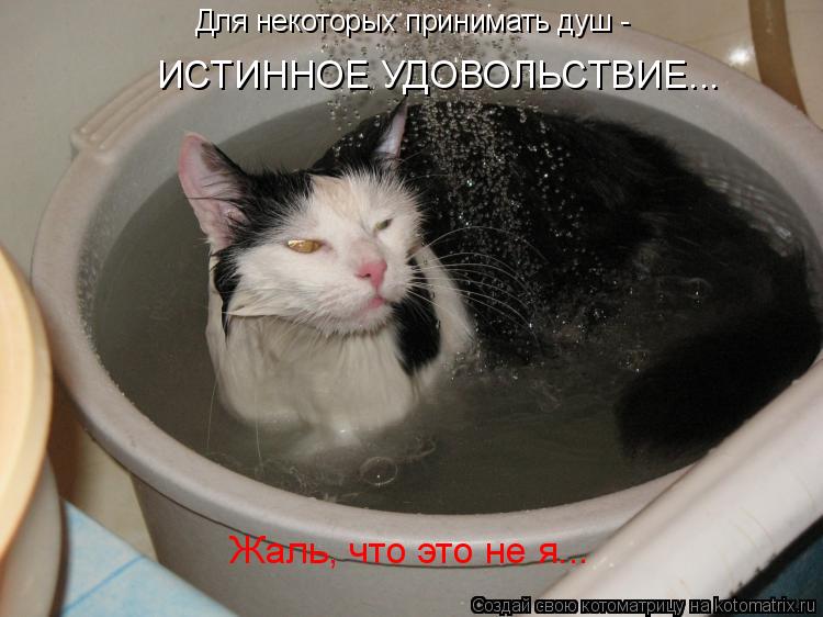 Для некоторых принимать душ - ИСТИННОЕ УДОВОЛЬСТВИЕ... Жаль, что это не я...... Котоматрица: Для некоторых принимать душ - ИСТИННОЕ УДОВОЛЬСТВИЕ... Жаль, что это не я...