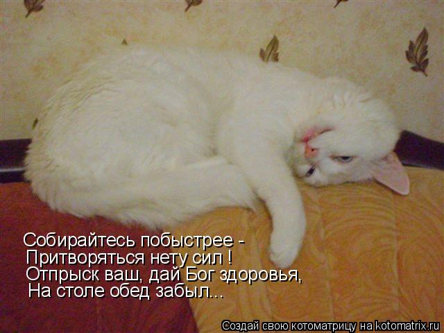 Собирайтесь побыстрее - Притворяться нету сил ! Отпрыск ваш, дай Бог здоровья, На столе обед забыл..... Котоматрица: Собирайтесь побыстрее - Притворяться нету сил ! Отпрыск ваш, дай Бог здоровья, На столе обед забыл...