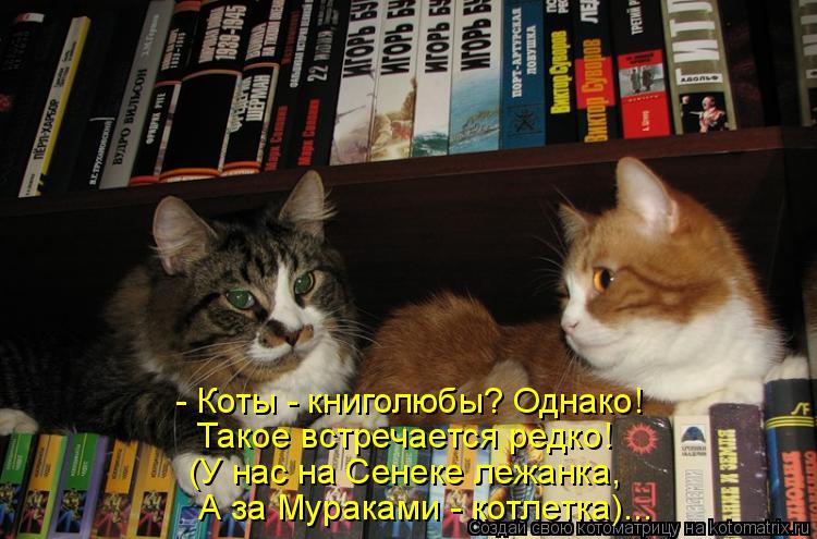 Котоматрица: - Коты - книголюбы? Однако!  Такое встречается редко!  (У нас на Сенеке лежанка, А за Мураками - котлетка)...