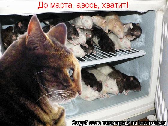 До марта, авось, хватит!... Котоматрица: До марта, авось, хватит!