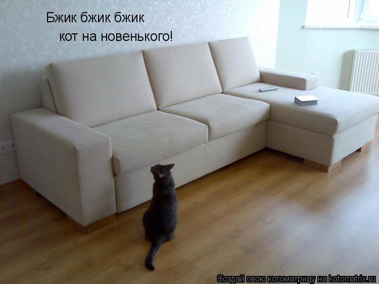 Котоматрица: кот на новенького! Бжик бжик бжик