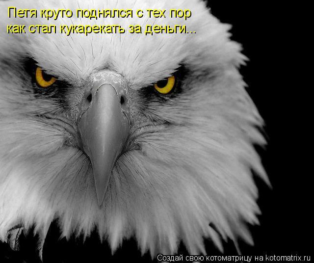 Петя круто поднялся с тех пор как стал кукарекать за деньги...... Котоматрица: Петя круто поднялся с тех пор как стал кукарекать за деньги...