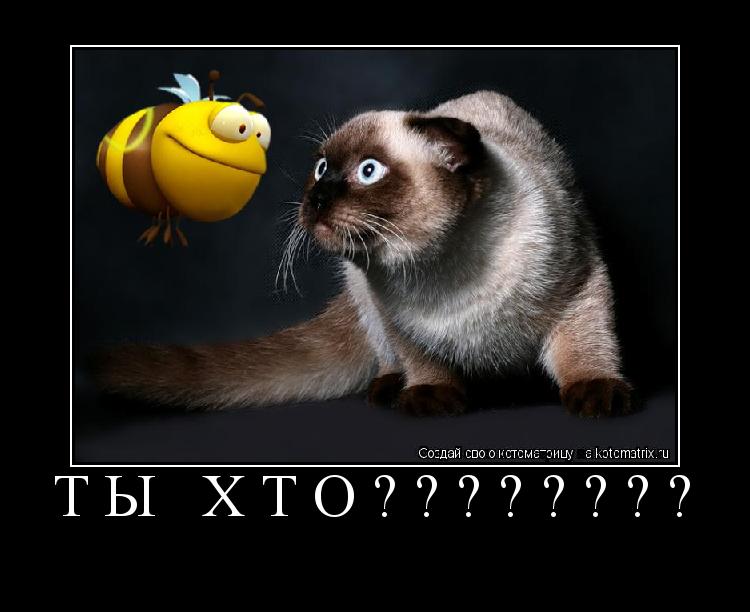ТЫ ХТО???????? ... Котоматрица: ТЫ ХТО????????