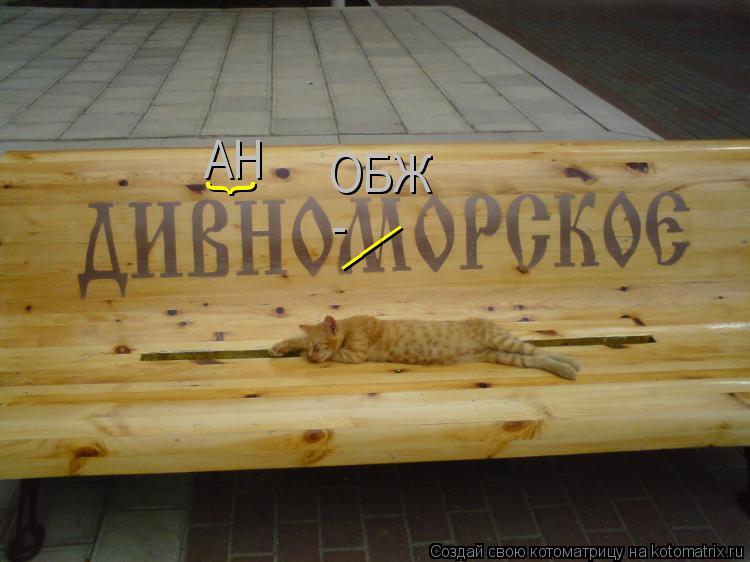 } ___ - ОБЖ АН... Котоматрица: } ___ - ОБЖ АН