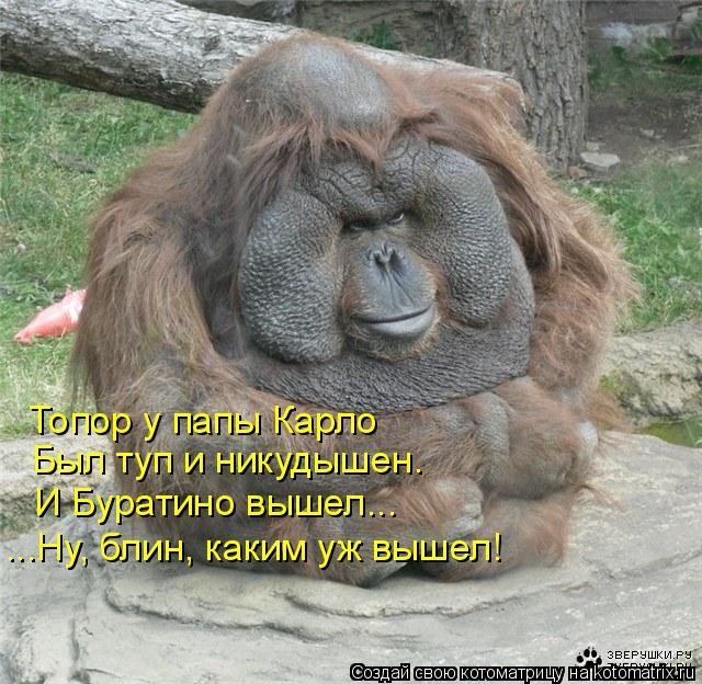 Топор у папы Карло Был туп и никудышен. И Буратино вышел... ...Ну, блин, каким уж вышел!... Котоматрица: Топор у папы Карло Был туп и никудышен. И Буратино вышел... ...Ну, блин, каким уж вышел!