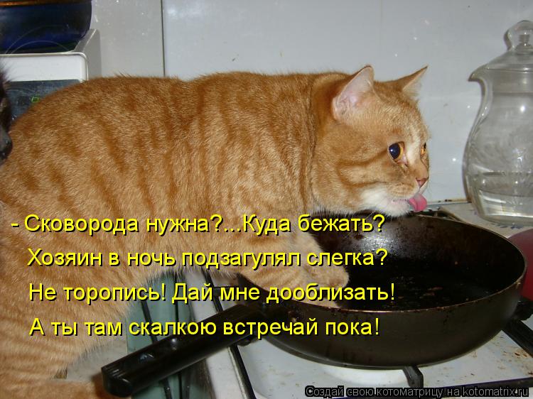 - Сковорода нужна?...Куда бежать? Хозяин в ночь подзагулял слегка? Не торопись! Дай мне дооблизать! А... Котоматрица: - Сковорода нужна?...Куда бежать? Хозяин в ночь подзагулял слегка? Не торопись! Дай мне дооблизать! А ты там скалкою встречай пока!