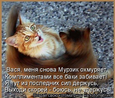 - Вася, меня снова Мурзик охмуряет, Выходи скорей - боюсь, не удержусь! Я тут из последних сил держус... Котоматрица: - Вася, меня снова Мурзик охмуряет, Выходи скорей - боюсь, не удержусь! Я тут из последних сил держусь, Комплиментами все баки забивает!