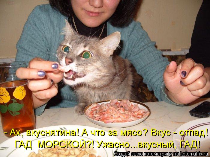 Котоматрица: - Ах, вкуснятина! А что за мясо? Вкус - отпад! ГАД  МОРСКОЙ?! Ужасно...вкусный, ГАД!