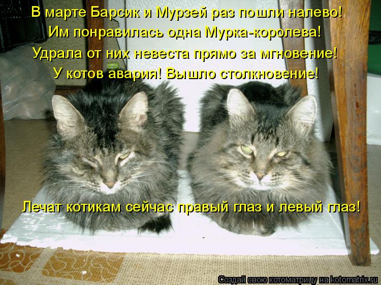 В марте Барсик и Мурзей раз пошли налево! Им понравилась одна Мурка-королева! Удрала от них невеста п... Котоматрица: В марте Барсик и Мурзей раз пошли налево! Им понравилась одна Мурка-королева! Удрала от них невеста прямо за мгновение! У котов авария! Вышло