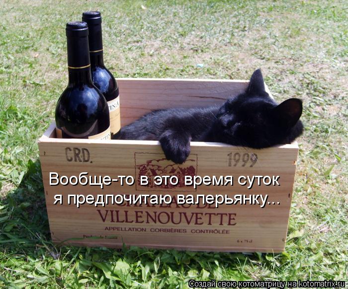 Вообще-то в это время суток я предпочитаю валерьянку...... Котоматрица: Вообще-то в это время суток я предпочитаю валерьянку...