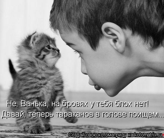 Котоматрица: Не, Ванька, на бровях у тебя блох нет! Давай, теперь тараканов в голове поищем...