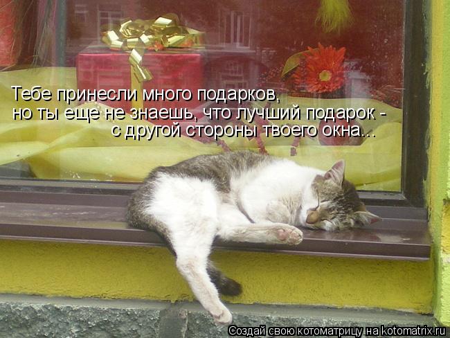 Тебе принесли много подарков, но ты еще не знаешь, что лучший подарок - с другой стороны твоего окна.... Котоматрица: Тебе принесли много подарков, но ты еще не знаешь, что лучший подарок - с другой стороны твоего окна...