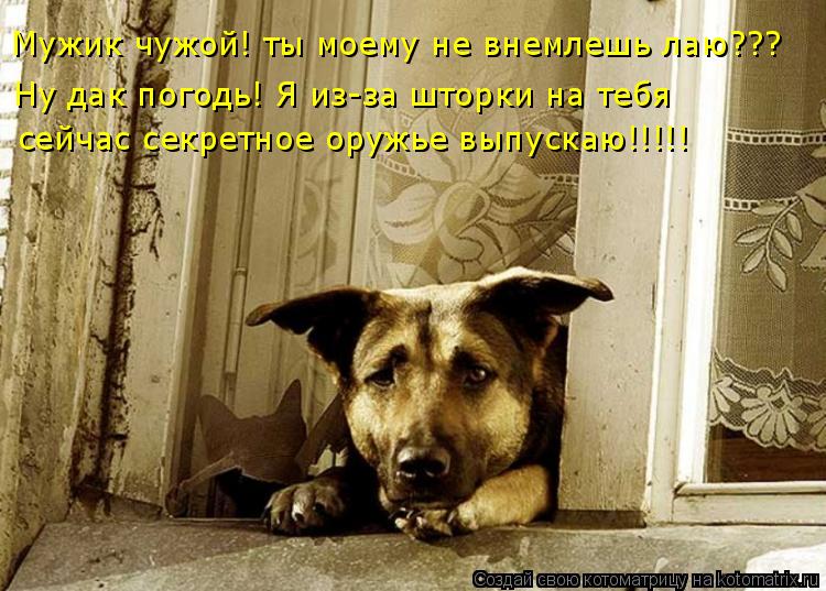 Мужик чужой! ты моему не внемлешь лаю??? Ну дак погодь! Я из-за шторки на тебя сейчас секретное оружь... Котоматрица: Мужик чужой! ты моему не внемлешь лаю??? Ну дак погодь! Я из-за шторки на тебя сейчас секретное оружье выпускаю!!!!!