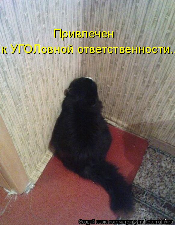Котоматрица: Привлечен к УГОЛовной ответственности...