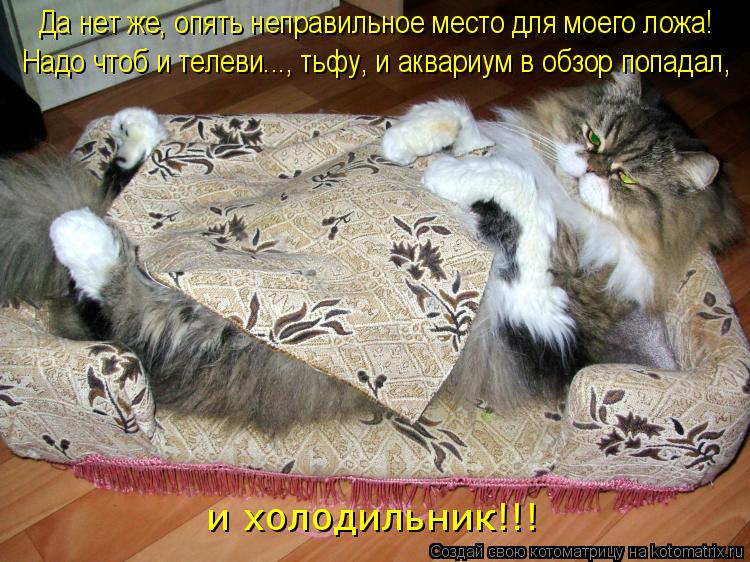 Котоматрица: Да нет же, опять неправильное место для моего ложа!  Надо чтоб и телеви..., тьфу, и аквариум в обзор попадал,  и холодильник!!!