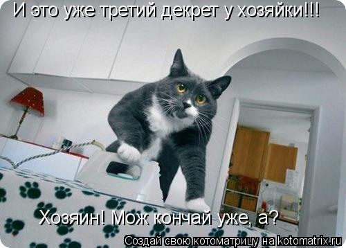 И это уже третий декрет у хозяйки!!! Хозяин! Мож кончай уже, а?... Котоматрица: И это уже третий декрет у хозяйки!!! Хозяин! Мож кончай уже, а?
