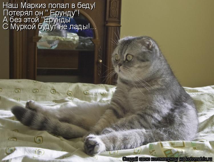 Котоматрица: Наш Маркиз попал в беду! Потерял он " Ерунду"! А без этой "Ерунды" С Муркой будут не лады!...