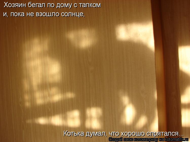 Котоматрица: Котька думал, что хорошо спрятался... Хозяин бегал по дому с тапком и, пока не взошло солнце,
