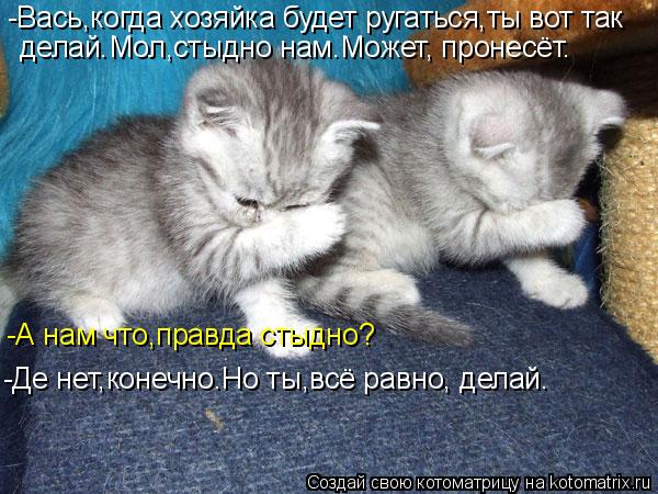 Котоматрица: -Вась,когда хозяйка будет ругаться,ты вот так делай.Мол,стыдно нам.Может, пронесёт. -А нам что,правда стыдно? -Де нет,конечно.Но ты,всё равно, д