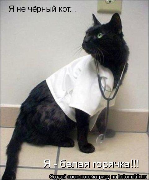Я не чёрный кот... Я - белая горячка!!!... Котоматрица: Я не чёрный кот... Я - белая горячка!!!
