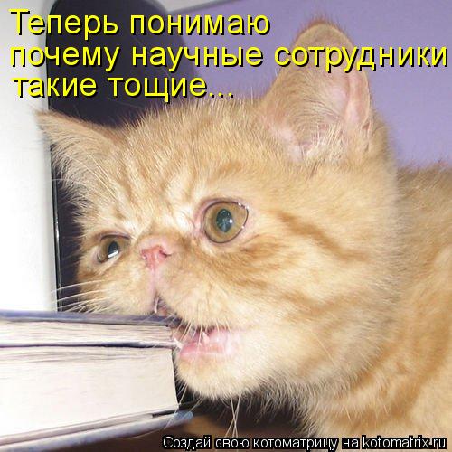 Котоматрица: Теперь понимаю  почему научные сотрудники такие тощие...