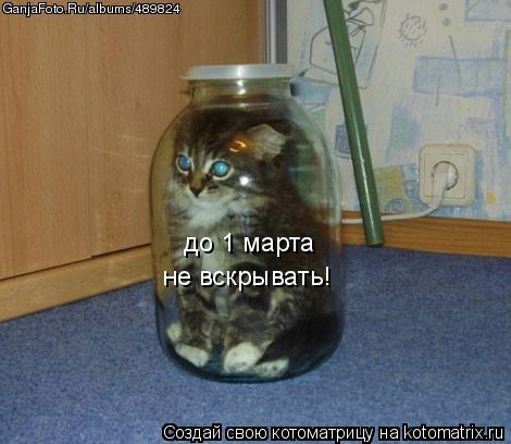 Котоматрица: до 1 марта не вскрывать!