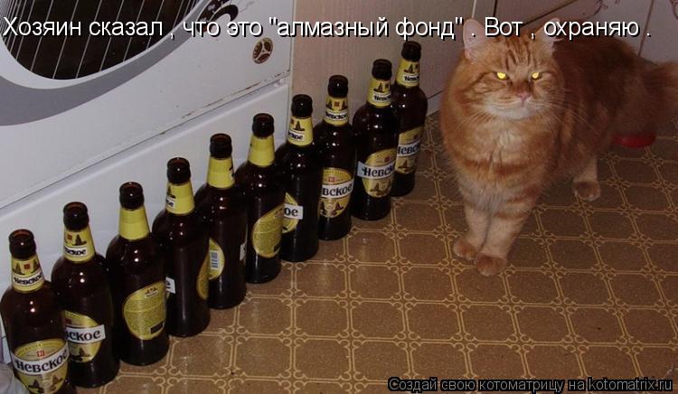 Котоматрица: Хозяин сказал , что это "алмазный фонд" . Вот , охраняю .