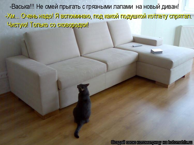 Котоматрица: -Васька!!! Не смей прыгать с грязными лапами  на новый диван! -Хм... Очень надо! Я вспоминаю, под какой подушкой котлету спрятал. Чистую! Только 