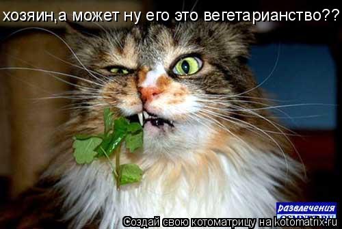 http://kotomatrix.ru/images/lolz/2010/11/19/742165.jpg