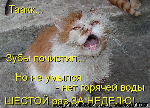 Таакк... Зубы почистил... Но не умылся - нет горячей воды ШЕСТОЙ раз ЗА НЕДЕЛЮ!... Котоматрица: Таакк... Зубы почистил... Но не умылся - нет горячей воды ШЕСТОЙ раз ЗА НЕДЕЛЮ!