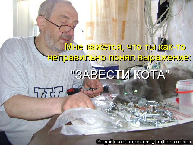 Котоматрица: Мне кажется, что ты как-то неправильно понял выражение: "ЗАВЕСТИ КОТА"