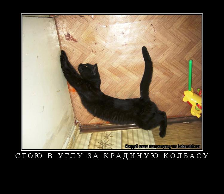 Стою в углу за крадиную колбасу ... Котоматрица: Стою в углу за крадиную колбасу