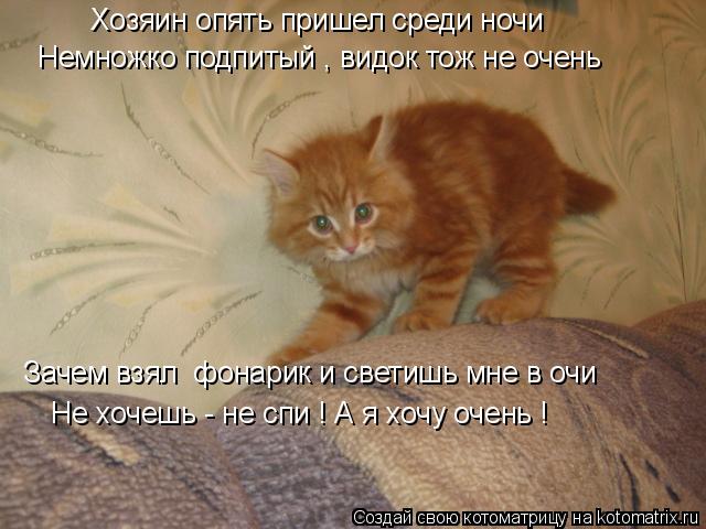Котоматрица: Немножко подпитый , видок тож не очень Хозяин опять пришел среди ночи Зачем взял  фонарик и светишь мне в очи Не хочешь - не спи ! А я хочу очен